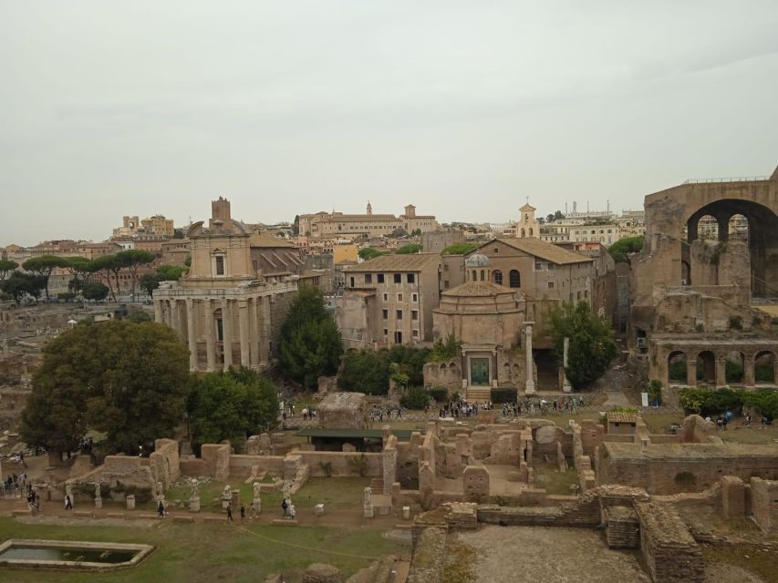 Ancient Rome and Domus Tiberiana Exclusive Guided Tour - A 2.5-Hour Game Plan: Palatine Hill to Domus Tiberiana to the Roman Forum