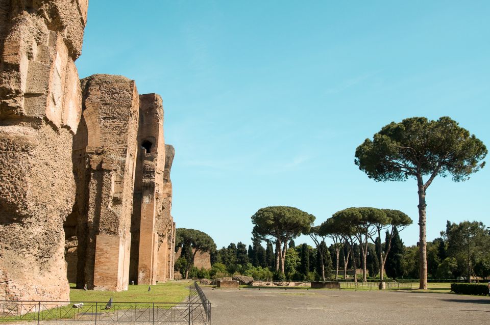 Baths of Caracalla Exclusive Private Guided Tour and Tickets - How a Roman bath complex worked: heating, movement, and purpose