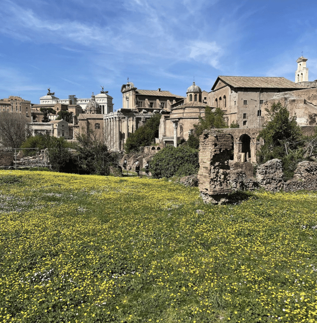 Colosseum, Roman Forum, Palatine Hill - the PRIVATE TOUR - Skip-the-line Tickets and a Private Start at the Arch of Constantine