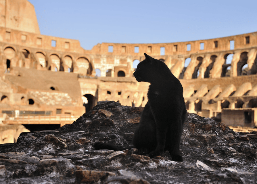 Colosseum, Roman Forum, Palatine Hill - the PRIVATE TOUR - Palatine Hill: Imperial Residence Ruins in a Focused Hour