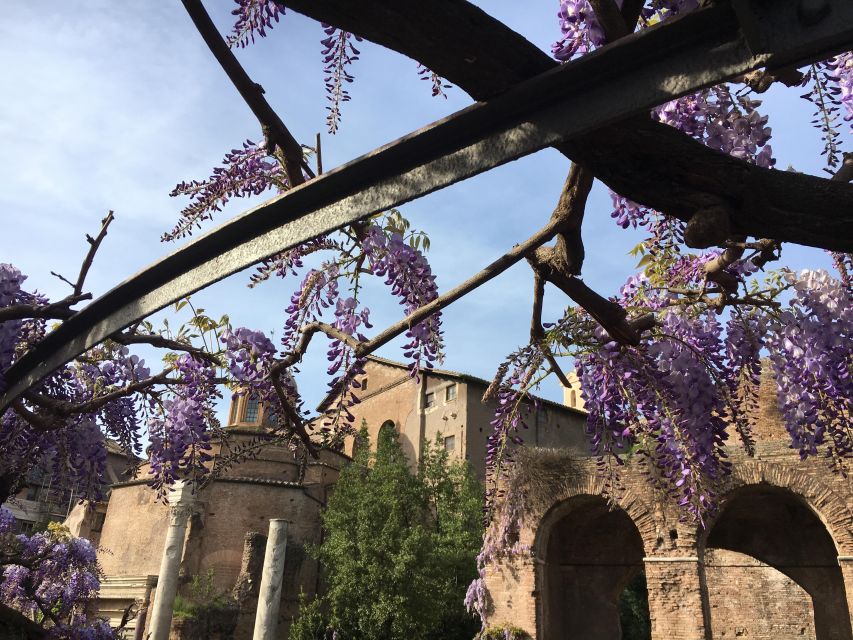 Colosseum, Roman Forum, Palatine Hill - the PRIVATE TOUR - Roman Forum: Politics and Commerce Where Power Played Out