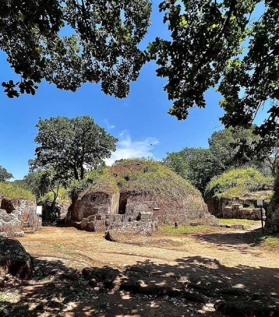 Day trip Rome: Tarquinia and Cerveteri, Etruscan tour - Key points that make this Etruscan day trip click