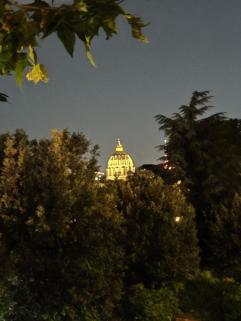 Elegant Rome by night tour and dinner in a local restaurant - What the guide style adds (and why it matters)