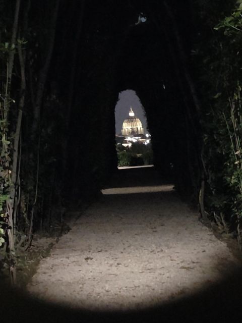 Elegant Rome by night tour and dinner in a local restaurant - Circus Maximus, Tiber Island, and the fun surprise factor
