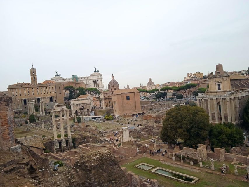Exclusive tour of Ancient Rome and Domus Tiberiana - The bottom line: should you book?