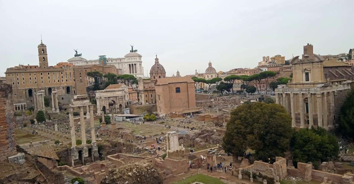 Exclusive tour of Ancient Rome and Domus Tiberiana - The Roman Forum walk: politics, crowds, and power you can read