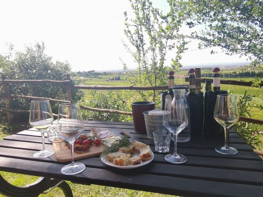 Frascati: 3-Hour Wine and Oil Tasting with Lunch/Dinner - Key highlights