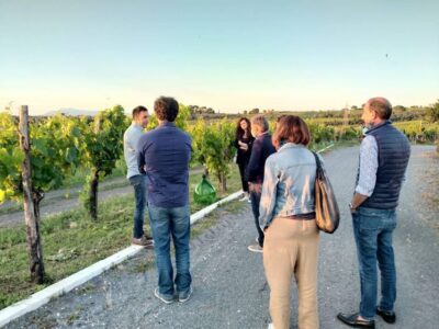 Frascati: 3-Hour Wine and Oil Tasting with Lunch/Dinner - Meeting at Vicolo di Prataporci and getting into the day