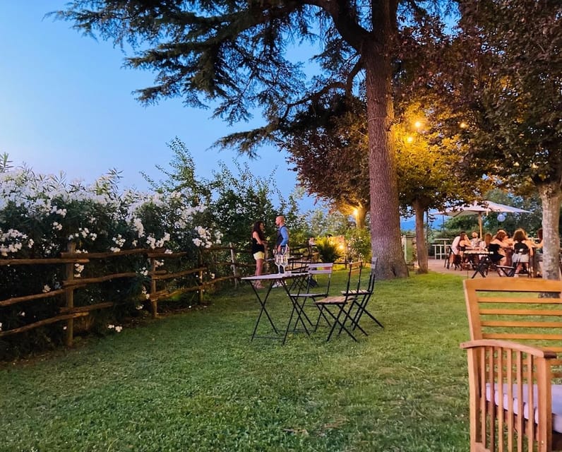 Frascati: 3-Hour Wine and Oil Tasting with Lunch/Dinner - The three-course menu: starter, main, dessert built around the theme