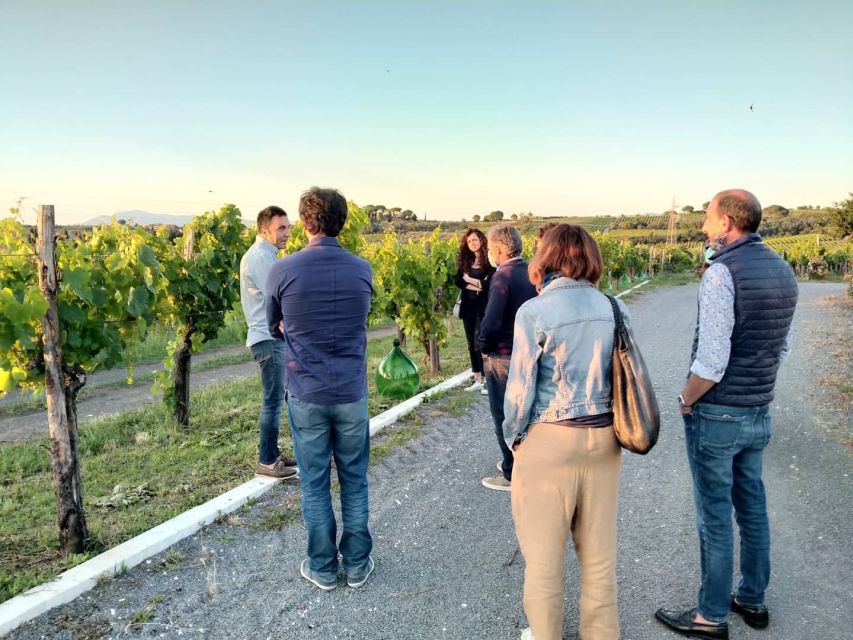 Frascati: 3-Hour Wine and Oil Tasting with Lunch/Dinner - Meeting at Vicolo di Prataporci and getting into the day