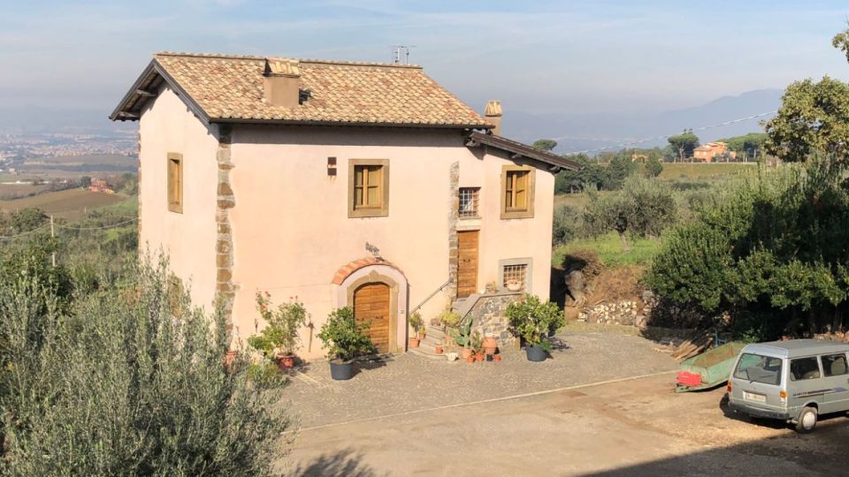 Frascati Wine Road from Rome: Tasting & Lunch - The vineyard view plus three wines you can name later