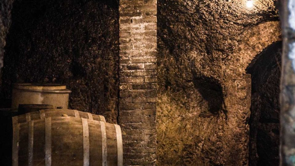Frascati Wine Road from Rome: Tasting & Lunch - Who this tour fits best (and who should choose another plan)