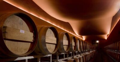 From Civitavecchia: Tuscany-Latium Wine Tour with Tastings - Roccapesta Farm and the DOCG Moment: Morellino di Scansano Tasting