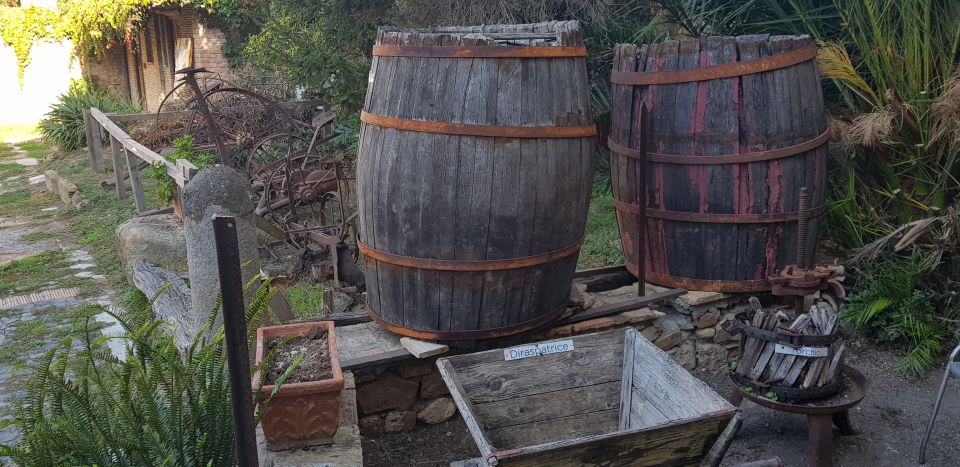 From Civitavecchia: Tuscany-Latium Wine Tour with Tastings - Price and Value: Is $243.56 Worth It for 6.5 Hours?