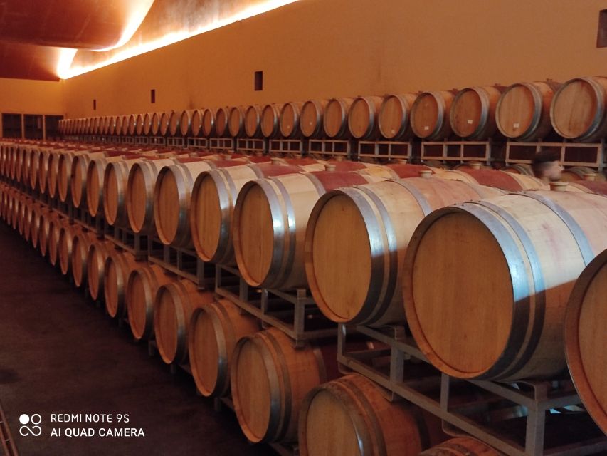 From Civitavecchia: Tuscany-Latium Wine Tour with Tastings - Should You Book This Civitavecchia Wine Tour?