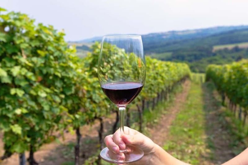 From Roma: Montepulciano and Montalcino, on the Wine Routes - The Historic Cellar Experience: DOCG Tasting Plus a Real Tuscan Lunch