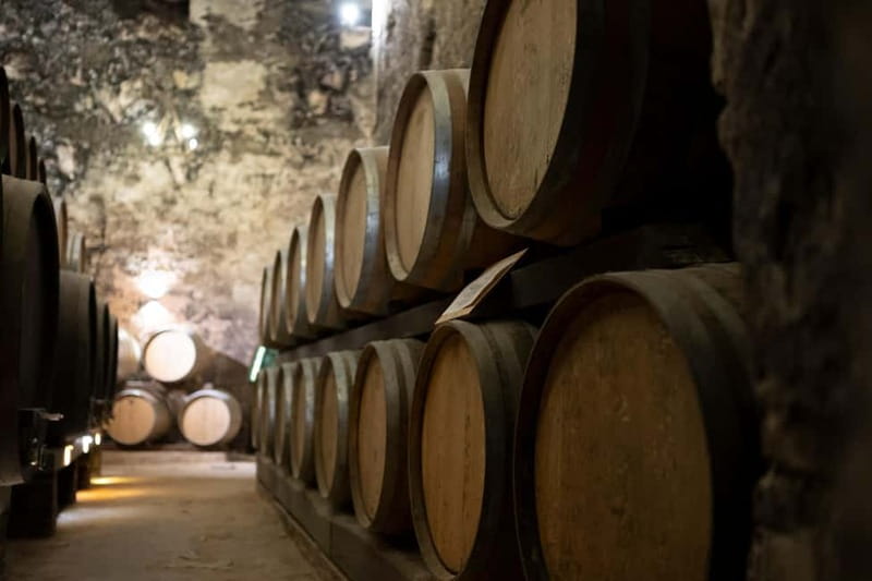 From Roma: Montepulciano and Montalcino, on the Wine Routes - Who This Tour Suits (and Who Should Skip It)