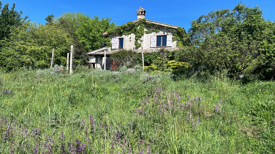 From Rome: Bracciano Lake & Calcata Day Trip, Wines & Lunch - Key highlights at a glance