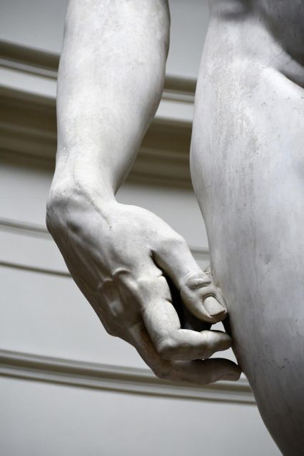 From Rome: Florence and Accademia Guided Tour - Quick practical facts you’ll want on hand
