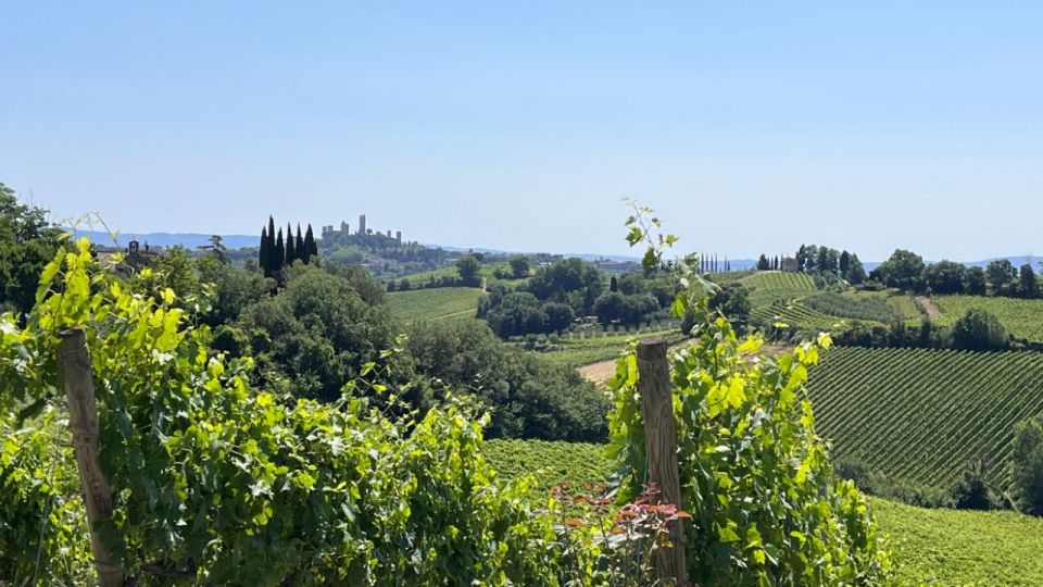From Rome: Florence & Tuscany Day Tour by High-Speed Train - Winery lunch and tasting: what you get beyond the pour