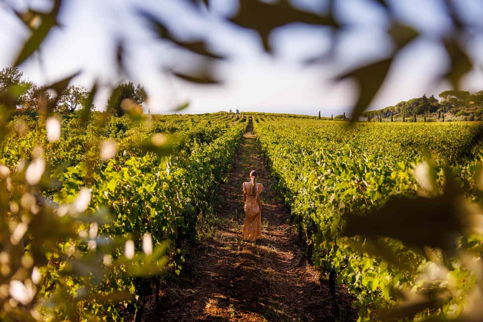 From Rome: Frascati Wine Region Tour with Wine Tasting - Key Points You’ll Actually Care About