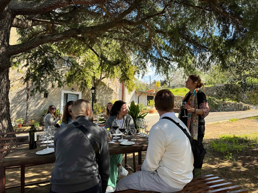 From Rome: Frascati Wine Tour with Lunch and Vineyard tour - Practical Tips So the Day Runs Smoothly