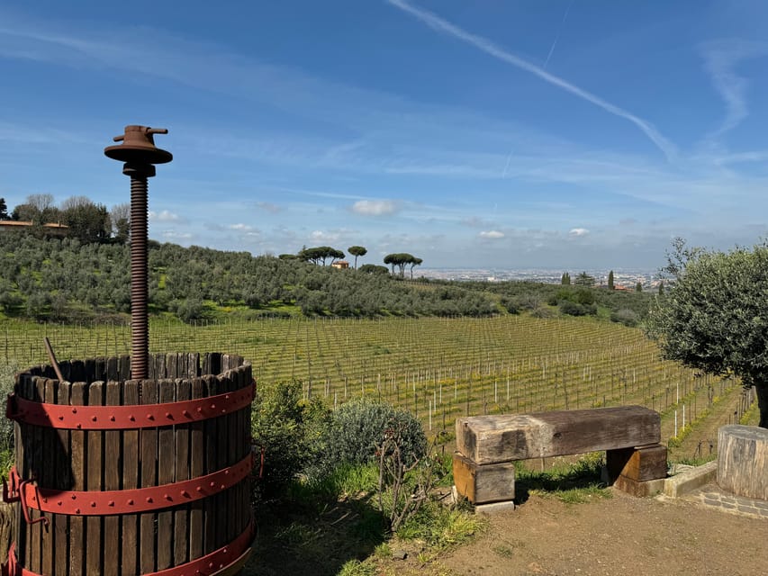 From Rome: Frascati Wine Tour with Lunch and Vineyard tour - How the Tour Begins in Rome’s Train-to-Frascati Rhythm