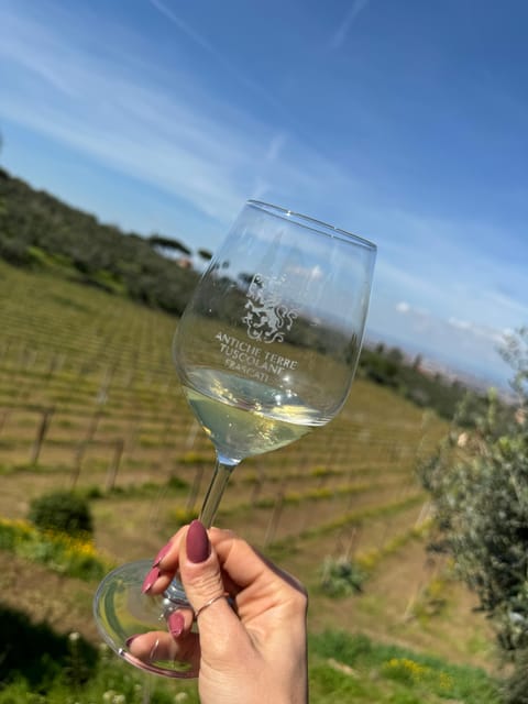 From Rome: Frascati Wine Tour with Lunch and Vineyard tour - Price and Logistics: Is $123.48 Worth It?