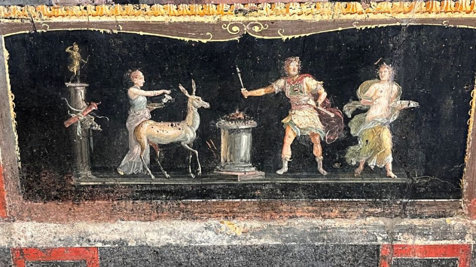 From Rome: Pompeii and Naples Day Trip by High-Speed Train - Who should book this Pompeii and Naples day trip (and who should skip)