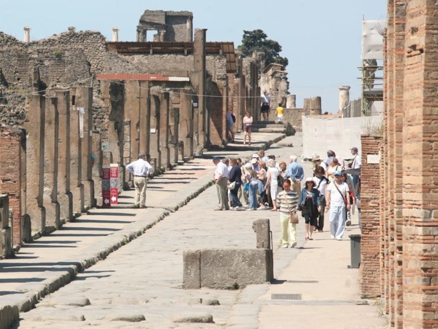 From Rome: Pompeii and Naples, Full Day Tour with Lunch - Tour assistant, languages, and the private-group feel