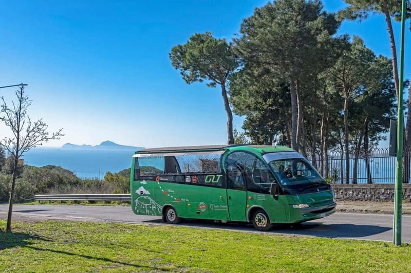 From Rome: Pompeii and Vesuvio Guided Day Trip with Lunch - Lunch in Pompeii: Neapolitan pizza plus a sometimes-surprising set menu