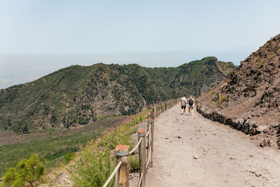 From Rome: Pompeii Day Trip with Optional Vesuvius and Lunch - Rome to Campania by air-conditioned private bus (and why it matters)