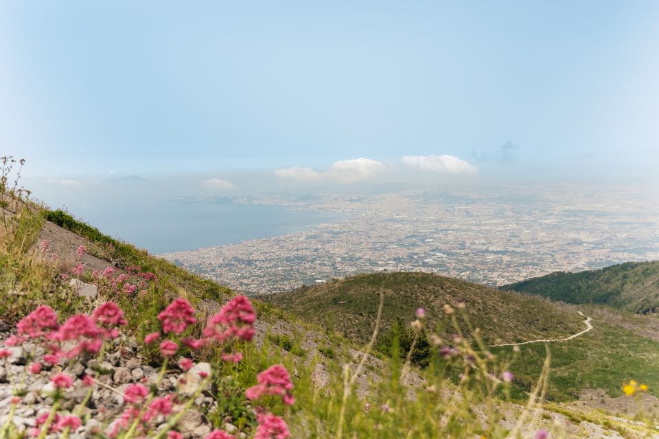 From Rome: Pompeii Day Trip with Optional Vesuvius and Lunch - Optional lunch with Bay of Naples and coast views