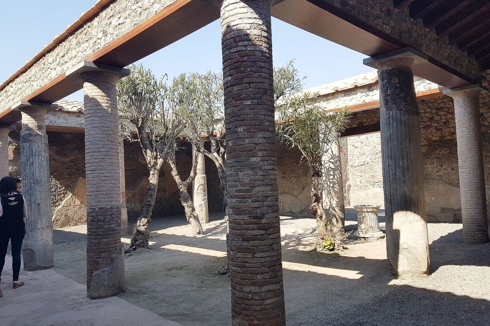 From Rome: Pompeii & Naples Small-Group Day Tour with Lunch - Biologic Farm Lunch and Wine Tasting: The Break Between Ruins