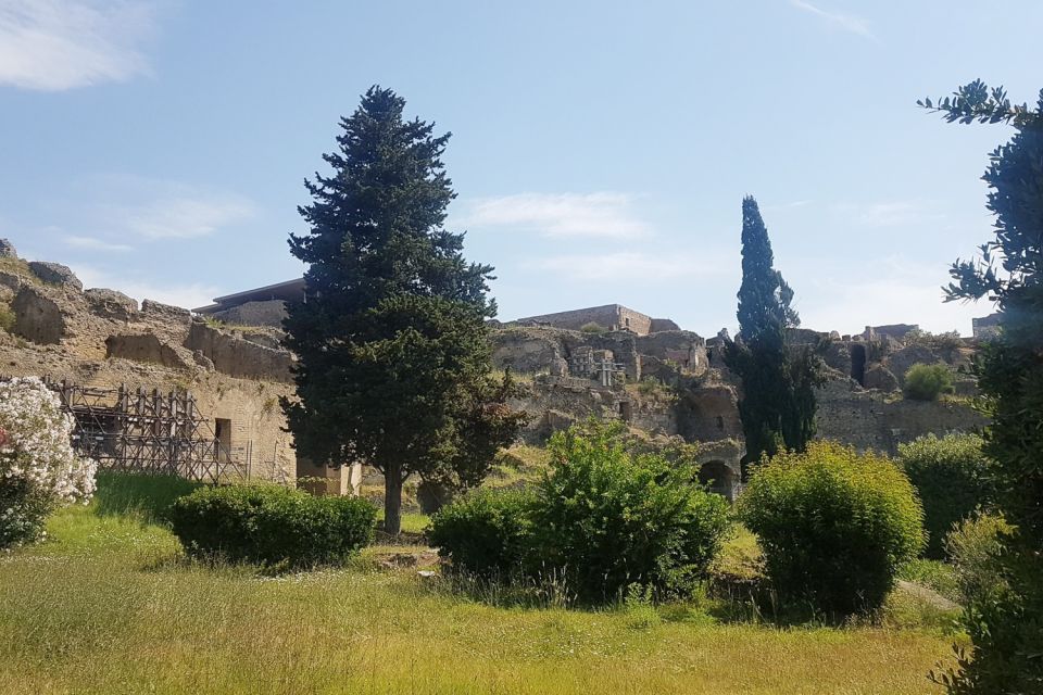 From Rome: Pompeii & Naples Small-Group Day Tour with Lunch - Naples by the Bay and City Walking Time: Coffee, Photos, and Real Streets