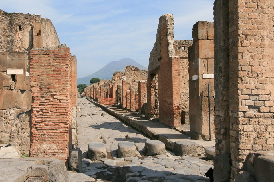 From Rome: Pompeii & Naples Small-Group Day Tour with Lunch - Pompeii With a 2-Hour Professional Guide: What You’ll Actually See