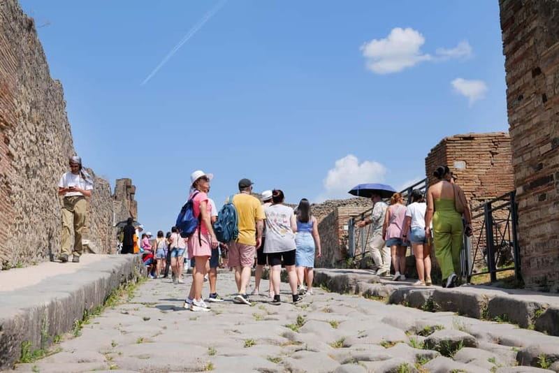 From Rome: Pompeii Ruins Tour with Expert Guide & Fast Train - Naples connection: staff meet you, but you still need to follow directions