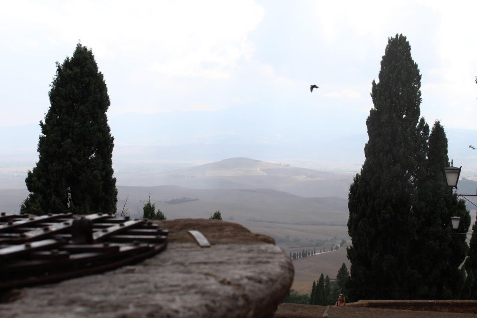 From Rome: Private Day-Tour of Tuscany - Key highlights and practical wins