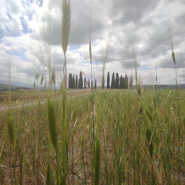From Rome: Private Day-Tour of Tuscany - Pienza free time: Duomo sights, Renaissance palaces, and pecorino