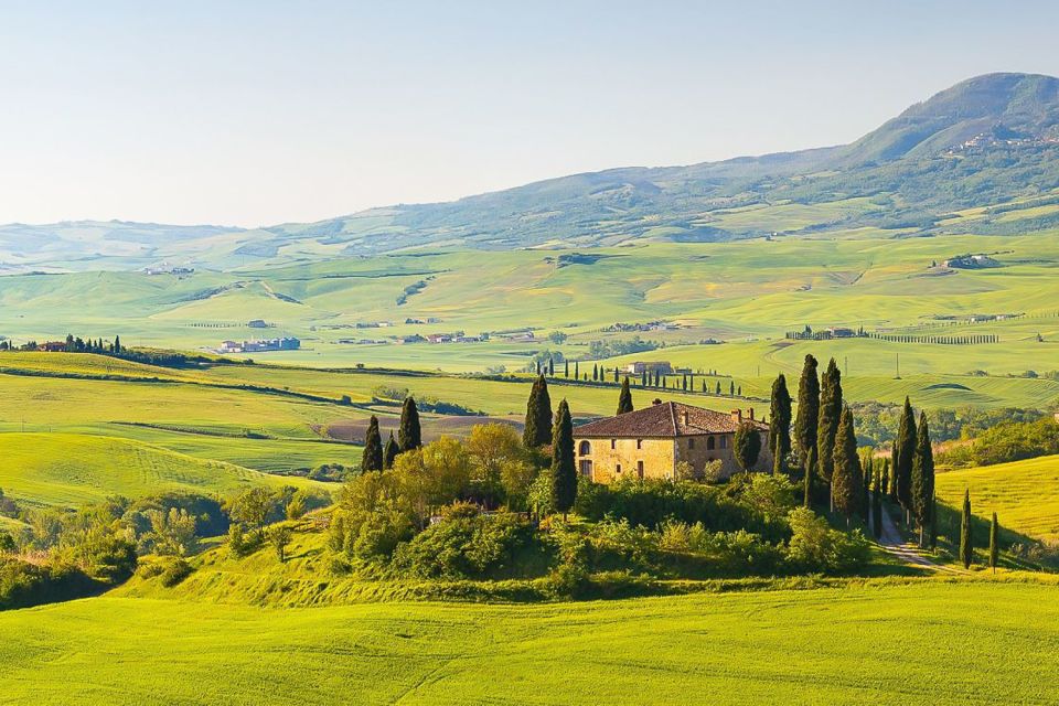 From Rome: Private Day-Tour of Tuscany - Private driver touring style: comfort, language, and weather-proof momentum