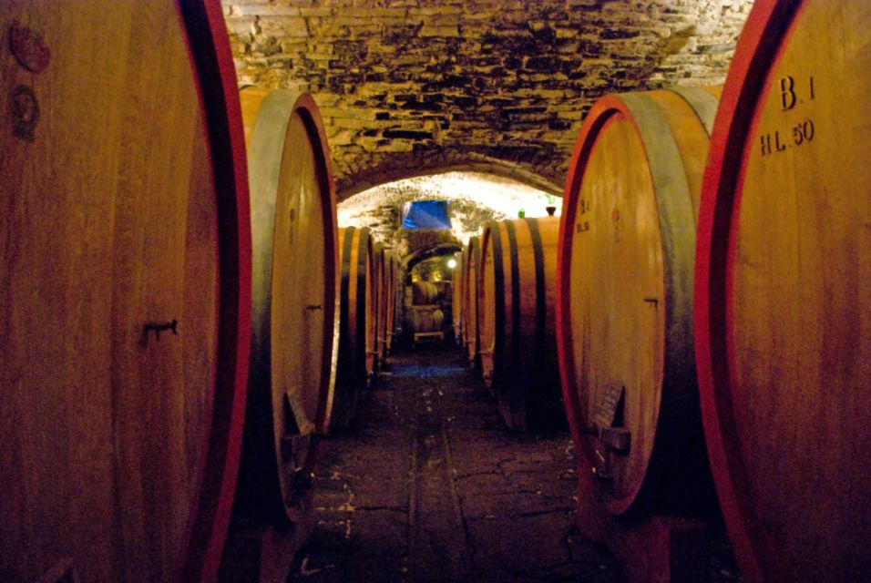 From Rome: Private Tuscany Day Trip - Who This Tour Is Best For (And Who Might Want a Different Day)
