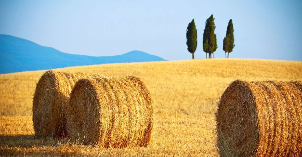 From Rome: Private Tuscany Day Trip - Val d’Orcia: The Short Drive-By That’s Worth Paying Attention To