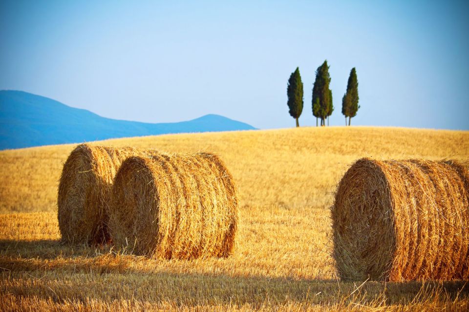 From Rome: Private Tuscany Day Trip - Pienza: A Renaissance Town Where You Can Actually See the Sights