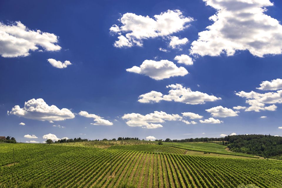 From Rome: Private Tuscany Day Trip - Comfort, Group Size, and Vehicle Choice (Yes, It Matters)