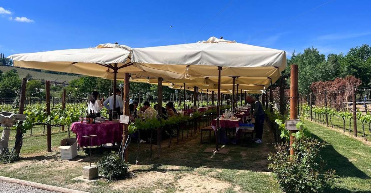 From Rome: Siena and S. Gimignano, Tuscany Wine One Day Tour - Siena’s medieval core: Piazza del Campo, guided walking, and real context