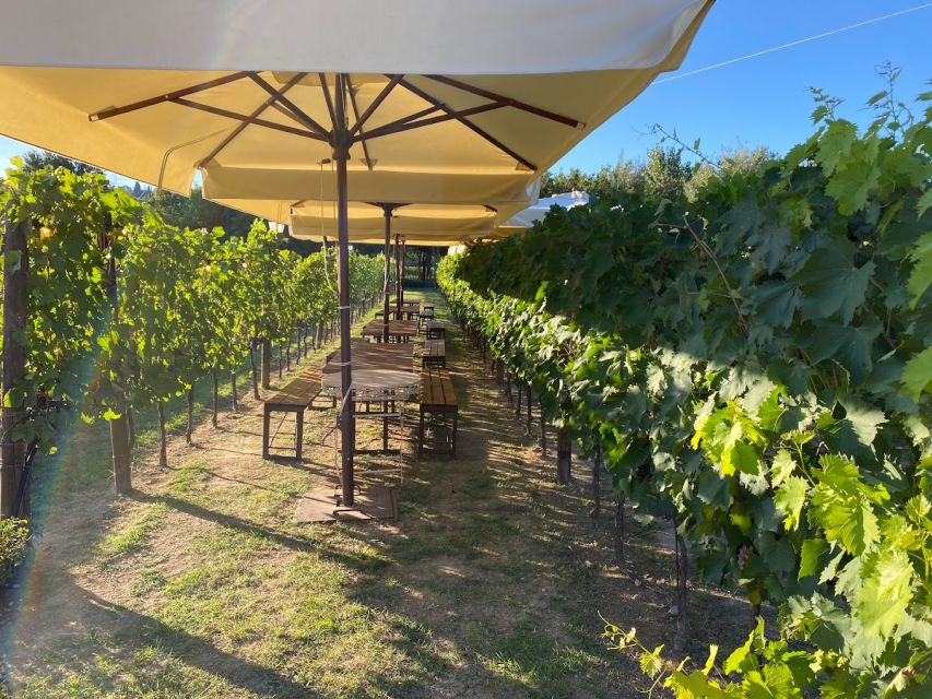 From Rome: Siena and S. Gimignano, Tuscany Wine One Day Tour - How the tour leader experience shapes the day