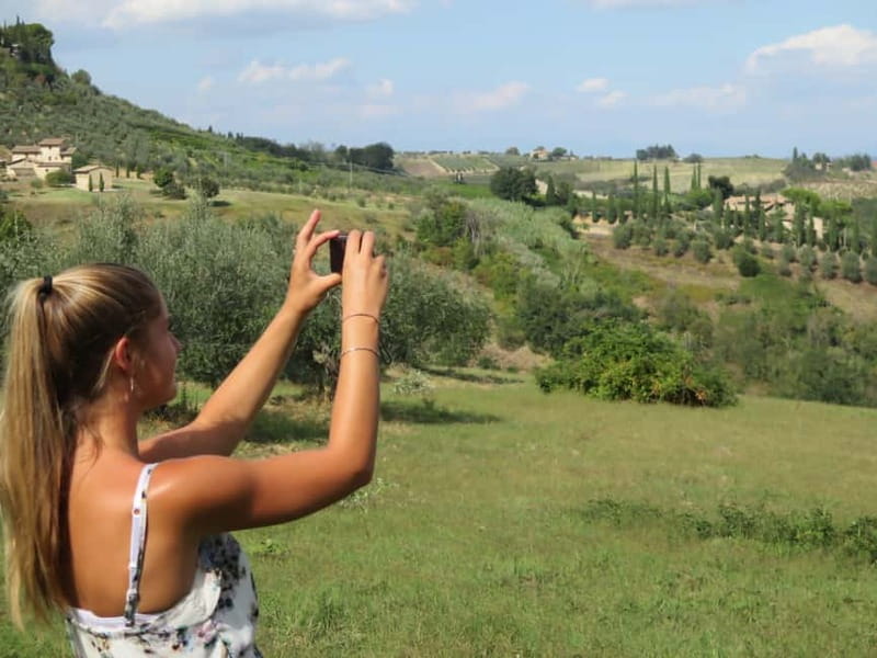 From Rome: Tuscany & Siena with Wine Tasting and Lunch - Chianti Countryside: Winery Lunch With Wine and Extra Virgin Olive Oil