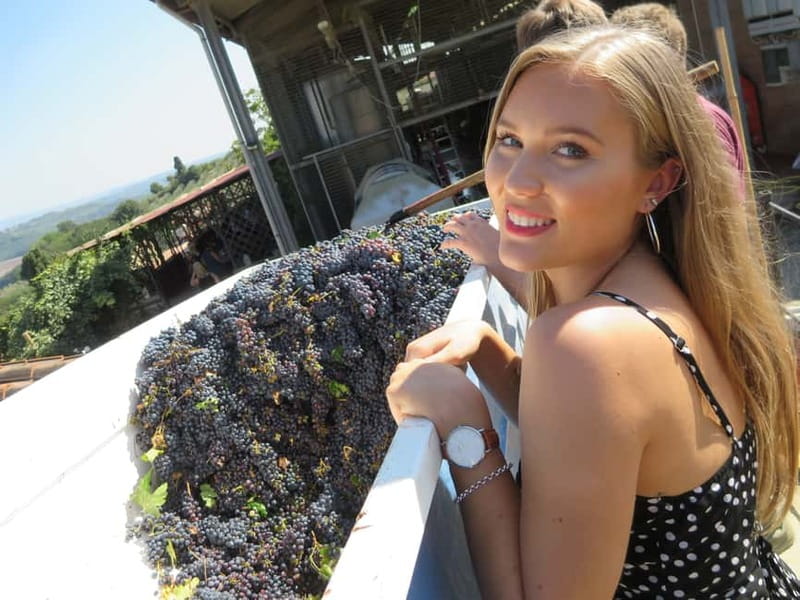 From Rome: Tuscany & Siena with Wine Tasting and Lunch - Timing, Comfort, and Who Should Skip This Day