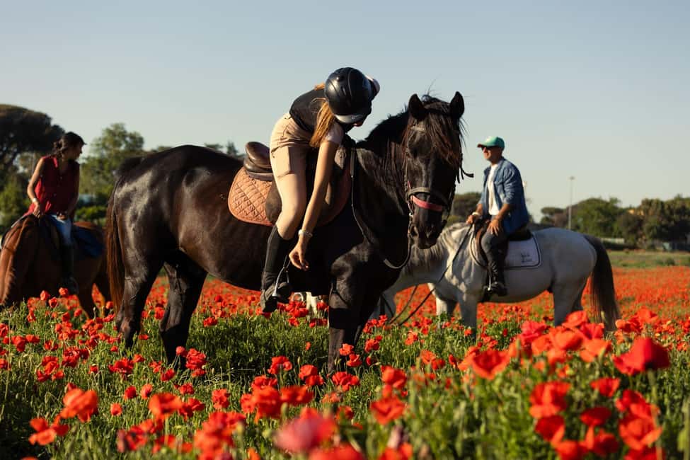 Horse Sanctuary in Rome - From Rome to pinewood and Roman ruins: why this ride feels different