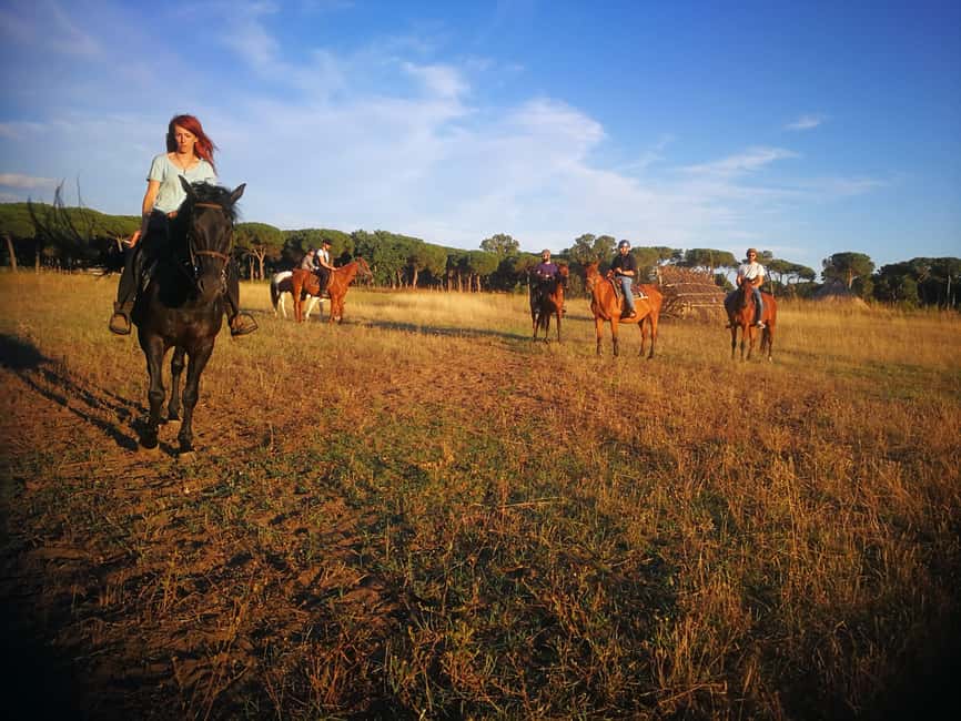 Horse Sanctuary in Rome - What’s included for $106, and why it can feel fair
